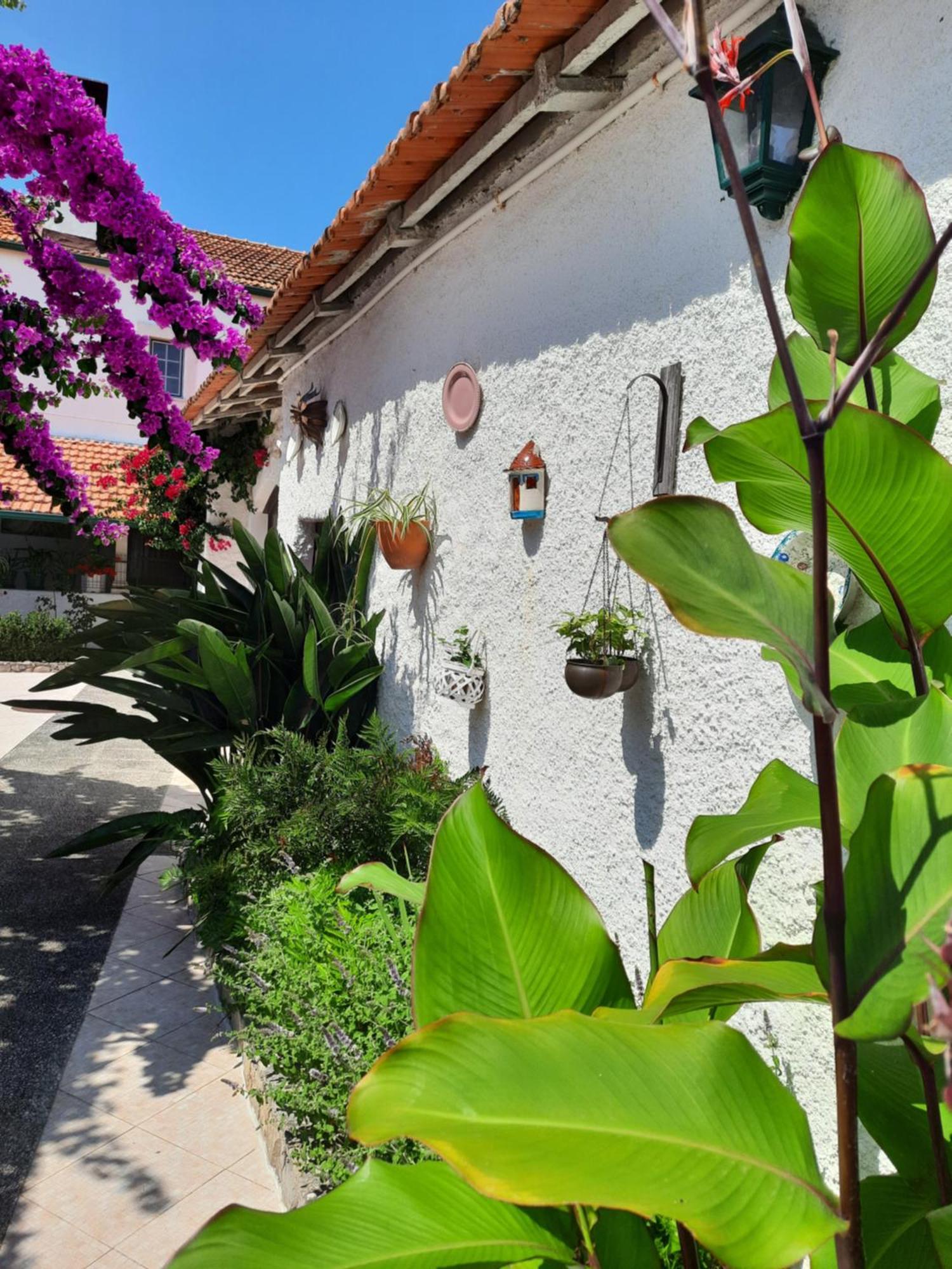 Qm - Quinta Da Morgadinha - Casa Em Quinta Rural Villa Cabecos Exterior photo